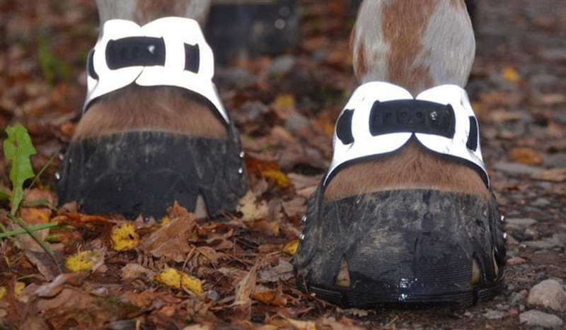 Be Bright, Be Seen - The Hoof Boot Addition 