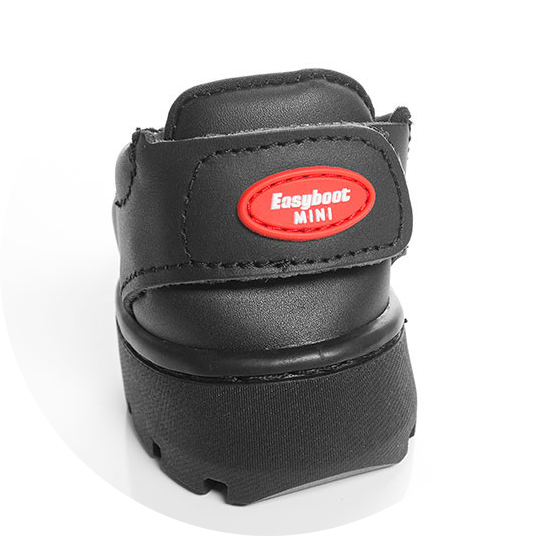 Jenny - 18th November 2025