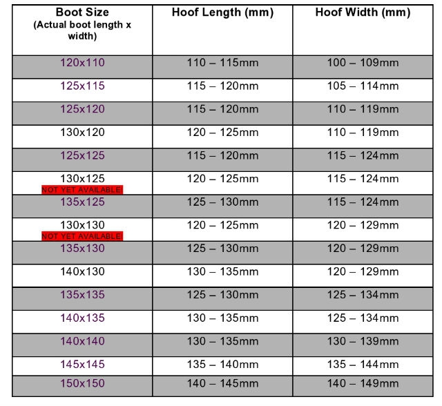 Cavallo Size Chart