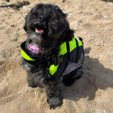 Besto Redding Besto Deluxe Dog Buoyancy Aid Yellow/Black 