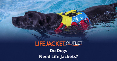 Do Dogs Need Life Jackets?