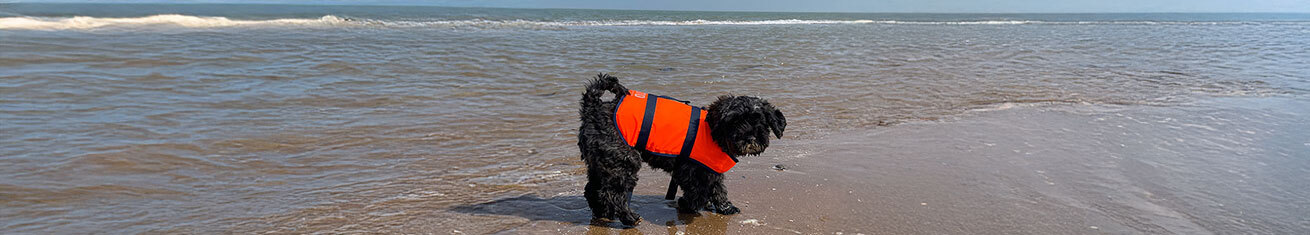 Small Dog Life Jackets
