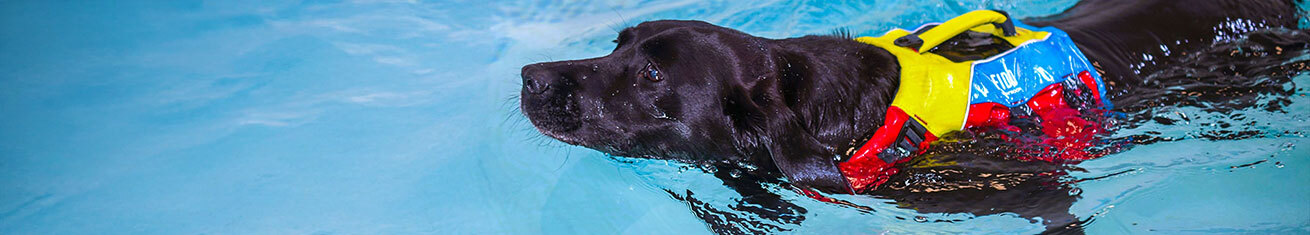 Labrador Dog Life Jacket