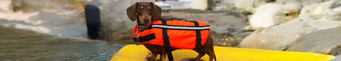 Sausage Dog Life Jacket