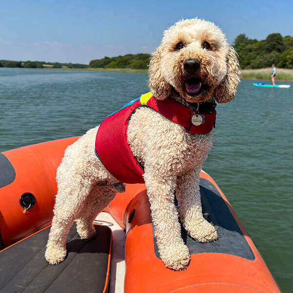 Large Dog Life Jacket