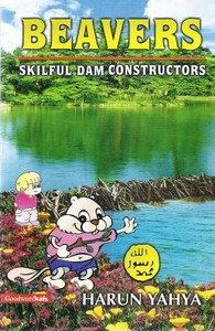 Beavers: Skilful Dam Constructors