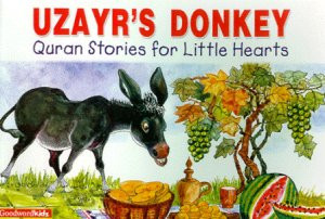 Uzayr's Donkey