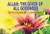 Allah: The Giver of All Goodness