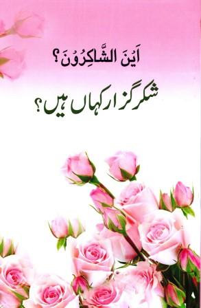 Shukr Guzar Kahan Hain?(Ayn-al-Shakiroon) Book