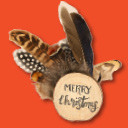 Festive Feathers