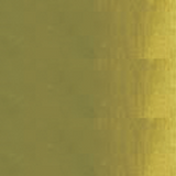 dc00igaj1p2tf6kekqlq65jl0h-12478_Art_Spectrum_Paint_Oil_S2_Australian_Yellow_Green_40ml_Front_2.png