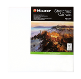 559e4suatt7ibc3v25hqpgjh17-12675_Micador_Stretched_Canvas_25x25cm_1.png