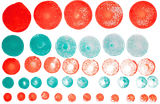 gp879fcf4d4hddoejrfuie5s35-13305_Bertie_Foam_Circle_Stamper_10pc_Lifestyle_1.png