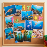 n5nsa1s8gt7npa766n0rlefd2d-13397-Bertie-Foam-Stickers-Seas-Life-100pc-Ai-3-Web.png