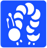 o79f1ojoed081ab0f9vgi7re7d-13498_Bertie_Bug_Stencils_caterpillar.png