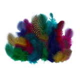 vutjl1g8556431vsnmthuhvt6c-13619_Guinea_Feathers_Assorted_25g.png