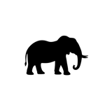 uhslo8flqp45daq4uan8h6j21a-14228_Scratch_Art_Animals_20pc-elephant.png