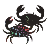 aibnmoj4pt02j6ojmh8ob02913-14231-Scratch-Art-Marine-Life-lifestyles-crab.png