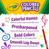 po4v7uutad6dh75m0gm98o4q47-14065_Crayola_Coloured_Pencils_The_Big_100_Asst_100pc_04_PDP.jpg