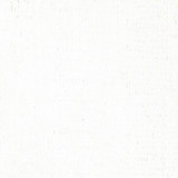 6unfsgr0gp1v1f2b4thfij9n11-12490_Art_Spectrum_Paint_Oil_S2_Titanium_White_#2_40ml_Swatch_1.jpg