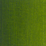 83sr413hb15u38datkr46cbt31-12487_Art_Spectrum_Paint_Oil_S2_Sap_Green_40ml_Swatch_1.jpg