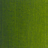 83sr413hb15u38datkr46cbt31-12487_Art_Spectrum_Paint_Oil_S2_Sap_Green_40ml_Swatch_1.jpg
