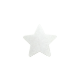 3ug399se697u9ecnbhhe2aqf2f-14820-Bertie-Magnetic-Canvas-Star-15cm-10pc-3.png