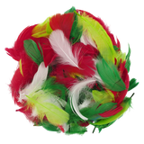 06jld0obnh483atf0cr09dj678-14860-Christmas-Feathers-Asst-35g-Ribtex-2-Web.png