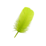 ajiohkind11ajc17pcjv8vq04u-14860-Christmas-Feathers-Asst-35g-grinch-green.png