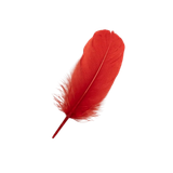 ea4u9phfnd3ir48jegcrel2c6q-14860-Christmas-Feathers-Asst-35g-red.png