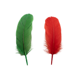 g1bgohj2tl7v79l6u978s12h26-14860-Christmas-Feathers-Asst-35g-red-green.png