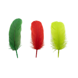 t10gn66fq908ddknusamtj4c6b-14860-Christmas-Feathers-Asst-35g-group of 3.png