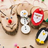 r5o6vm5iv15gn9dvu6u2l3pn4h-14863-Wood-Slices-Assorted-500g-Ribtex-2-Web-1.png