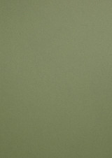 313ghm90495b14mam405pu7t1a-14900-14899-Fabrino-Toned-Paper-Pad-120gsm-Moss.jpg