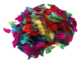 3psh521n6918535ou4u5kjut2d-15146-Bertie-Guinea-Fowl-Feathers-Assorted-Colours-25g-3-web.png