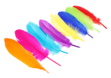 j2v63b8skl2vjffp1v39ili85d-15149-Bertie-Quill-Feathers-Assorted-Colours-60g-1-web.png