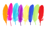 ob8d50r05t62p13t2864o0qe28-15149-Bertie-Quill-Feathers-Assorted-Colours-60g-4.png