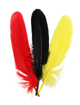9955760qol5pp1494gdhmlng62-15151-Bertie-Quill-Feathers-Our-Country-30g-1-web.png