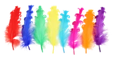 2h2a8fmsgt2a7ethhiq3jpv42e-15152-Bertie-Fancy-Ruffle-Feathers-Assorted-Colours-50pc-1-web.png