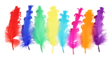 99c1bq53ul45f2m57619ribs75-15152-Bertie-Fancy-Ruffle-Feathers-Assorted-Colours-50pc-1.png