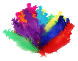 iv8pd3d09l0bb25lp9g07v7s6e-15152-Bertie-Fancy-Ruffle-Feathers-Assorted-Colours-50pc-2-web.png