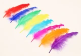 jtdl0gvrq54rfdngrmqh2d6k5h-15152-Bertie-Fancy-Ruffle-Feathers-Assorted-Colours-50pc-3.jpg