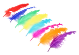 mgp7kce0313tp9ih1m6183ef6u-15152-Bertie-Fancy-Ruffle-Feathers-Assorted-Colours-50pc-3-web.png