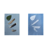 9ehcckmra575949s1gh8slok38-15165-Bertie-Cyanotype-Paper-A4-20sht-SHJ-1-Web.png