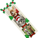 ppjjjav6qh1899idu2v5j1180c-15218-Puffy-Christmas-Holly-30pc-Ribtex-3.png