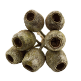1f7t2679tl56j024t1naqa6h0f-15230-Natural-Dried-Gumnuts-2-4cm-30pc-Stringybark-3-Web.png