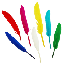 Feathers Mixed Brights 10g