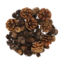 Wood Natural Asst Cones 500g - Default Image