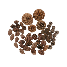 Wood Natural Asst Cones 500g - Default Image