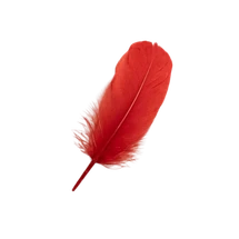 Feathers Christmas Asst 35g - Product Image 2